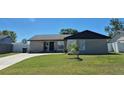 Inviting single-Gathering home with lush green lawn and a black front door at 449 Ball Ct, Kissimmee, FL 34759
