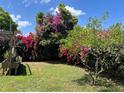 A large backyard space accented by colorful flowering trees and greenery at 112 10Th St, St Cloud, FL 34769