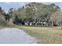 Lakeside backyard view featuring a mature tree line and a glimpse of the home at 4321 Rummell Rd, St Cloud, FL 34769