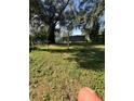 Spacious backyard with a vintage basketball hoop surrounded by lush greenery at 1505 S Westmoreland Dr, Orlando, FL 32805