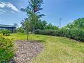 A spacious lawn features a young tree and well-maintained landscaping in the backyard at 195 Casavista Dr, Kissimmee, FL 34759