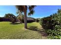 Lush backyard with a palm tree, privacy fence, and plenty of green space at 1534 Gants Cir, Kissimmee, FL 34744