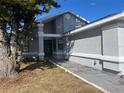 Gray house with black front door and landscaping at 136 Pinewood Cir, Kissimmee, FL 34743