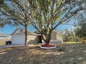 House exterior with large tree and landscaping at 248 Lindale St, Lakeland, FL 33809