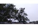 Damaged roof of a property showing some exposed sheathing and covered with tarps at 800 Nicole Blvd, Ocoee, FL 34761