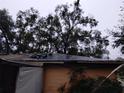 Shows damaged roof covered in tarp at 800 Nicole Blvd, Ocoee, FL 34761