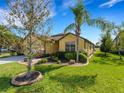 Well maintained property with manicured lawn, mature palm trees, and shrubbery at 208 Almeria Way, Davenport, FL 33837