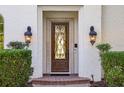 Close-up of the home's inviting front door with decorative glass, sidelights, and stylish lighting fixtures at 1211 Aquila Loop, Kissimmee, FL 34747