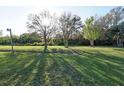 Mature yard featuring mature shade trees and green grass at 6332 Bayberry Ne Blvd, Winter Haven, FL 33881