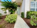 Charming entryway with a light green front door, complemented by manicured bushes at 106 Southern Pine Way, Davenport, FL 33837