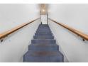 Carpeted staircase with wooden handrail leading to the upper level at 3060 George Mason Ave # 12 D, Winter Park, FL 32792