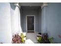 Inviting entryway with potted plants leading to the dark-colored front door and welcome mat at 4211 Little Owl Ln, Kissimmee, FL 34746