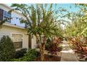 Picturesque walkway framed by lush landscaping and trees alongside well-maintained townhomes under a clear blue sky at 2962 Lucayan Harbour Cir # 102, Kissimmee, FL 34746