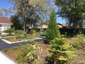 Lush front yard featuring landscaping, trees, and garden beds that create a serene outdoor space at 539 Libby Rd, Babson Park, FL 33827
