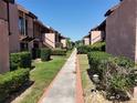 Picturesque community pathway lined with manicured landscaping, creating a welcoming and tranquil environment at 133 La Casa # 133, Lake Wales, FL 33898