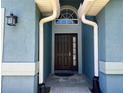Inviting entryway features a stylish dark-colored front door, transom window, and modern rain gutters at 3874 Blackberry Cir, St Cloud, FL 34769