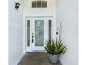 Elegant front door with decorative glass, enhanced by plants, and textured wall finishes at 529 Eagle Pointe N, Kissimmee, FL 34746