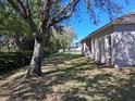 Lush backyard featuring mature trees and a well-maintained lawn at 2520 Azzurra Ln, Ocoee, FL 34761