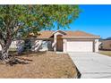 Charming single-story home featuring a well-manicured front lawn, a two-car garage, and welcoming entrance with front tree at 258 Grouper Ct, Kissimmee, FL 34759