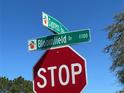 Street sign showing the intersection of Bloomfield Dr and Cypress Tree Ln in front of a bright blue sky at 633 Cypress Tree Ct, Orlando, FL 32825