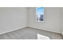 Bright, carpeted bedroom with a large window providing natural light; neutral walls create a serene atmosphere at 1741 Carnelian St, Deland, FL 32720