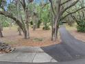 Long asphalt driveway leading to a property surrounded by mature trees and lush landscaping at 6340 Nelms E Rd, Lakeland, FL 33811