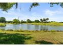 Scenic pond view surrounded by lush greenery and a clear blue sky at 3535 Clay Brick Rd, Harmony, FL 34773