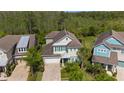Aerial view of home with a brick driveway, a two-car garage, and lush landscaping at 8724 Peachtree Park Ct, Windermere, FL 34786