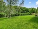 Expansive backyard featuring lush green grass and mature trees, perfect for outdoor activities and relaxation at 12513 Indiana Woods Ln, Orlando, FL 32824