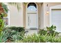 Inviting front entrance with decorative plants and sidelight windows allowing natural light into the home at 932 Emerald Green Ct, Kissimmee, FL 34746