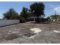 Expansive backyard with privacy fence, surrounded by trees, offering ample space at 115 N 10Th St, Haines City, FL 33844