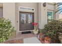 Elegant double front doors with leaded glass and decorative plants enhance the home's curb appeal at 2005 Pitch Way, Kissimmee, FL 34746