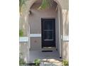 Close-up of the front door showing the decorative screen and arched entry at 2451 Quail Run N Blvd, Kissimmee, FL 34744