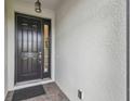 Close-up view of the home's front door with sidelight at 249 Bella Cortina Dr, Kissimmee, FL 34759