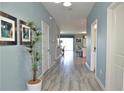 Inviting hallway featuring stylish gray flooring, blue walls, and plant decor at 9042 Stinger Dr, Davenport, FL 33896