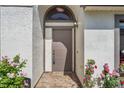 Inviting entryway with tiled floor, lovely front door, and colorful flowering plants on either side of the entrance at 98 Lakepointe Cir, Kissimmee, FL 34743