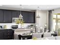 Modern kitchen with stainless steel appliances, dark cabinetry, and an adjacent dining area with stylish pendant lights at 1066 Cloud Ridge Ct, Mount Dora, FL 32757