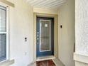 Front door has decorative glass and a secure lock, creating an inviting and safe entryway at 521 Rena Dr, Davenport, FL 33897