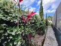 Lush backyard landscaping creates a serene and private outdoor retreat, beautiful flowering plants at 12445 Bohannon Blvd, Orlando, FL 32824
