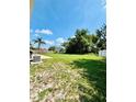 A spacious backyard featuring a lush green lawn and mature trees, perfect for outdoor activities at 467 Martigues Drive, Kissimmee, FL 34759