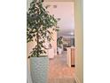 Hallway featuring decorative plants, light wood-look tile flooring, and an open concept view to the living spaces at 1508 Bunker Drive Bunker, Davenport, FL 33896