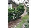 View of the side yard with greenery at 6957 Northwich Dr, Windermere, FL 34786