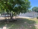 Lush backyard featuring mature trees, providing ample shade and privacy, with a small wooden deck platform at 710 Whispering Pines Dr, Auburndale, FL 33823
