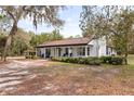 Exterior view of a charming single story home with columns, covered front porch, mature trees, and spacious front yard at 8310 Happy Trails, Kissimmee, FL 34747