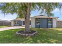 Landscaped front yard featuring a mature tree and well-maintained lawn with a peek at the home's architecture at 1436 Nolton Way, Orlando, FL 32822