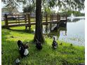 Peaceful pond scene with ducks near a wooden pier, enhanced by a lush green lawn at 4008 San Gallo Dr # 106, Kissimmee, FL 34741