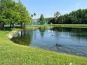Scenic view of a tranquil pond with ducks, surrounded by lush greenery and mature trees at 4008 San Gallo Dr # 106, Kissimmee, FL 34741