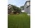 Well-maintained front yard featuring lush green grass and mature palm tree, showcasing sprinkler system at 5921 Lake Champlain Dr, Orlando, FL 32829