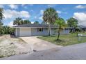Inviting single-story home featuring an attached garage, well-kept lawn, and mature palms at 203 Parkwood Ln, Edgewater, FL 32132