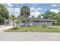 Charming single-story home with a well-manicured lawn, palm trees, and a classic design at 203 Parkwood Ln, Edgewater, FL 32132